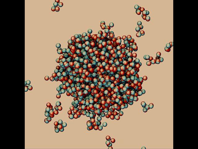 BPPB Virtual Seminar, Ned Wingreen, “Magic numbers in protein phase separation”