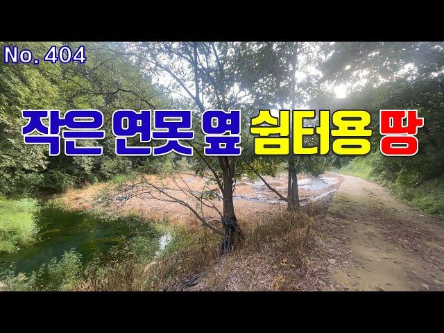 세종시 토지 매매 가끔 자연인 되고 싶은 분께 강추 숲 속 작은 연못 있는 포근하고 아늑한 땅