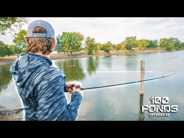 Fishing A Small Town Park Pond For Bass! (100 Ponds Ep. 50)