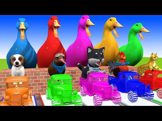 5 Giant Duck, Monkey, Piglet, chicken, Dog, Cat, Bird, sheep Transfiguration funny animal 2023