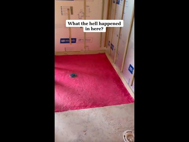 What the hell happened in here...