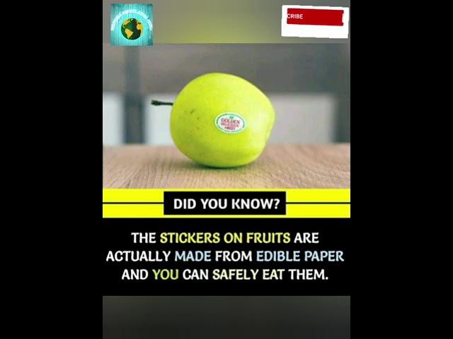 DID YOU KNOW ABOUT THESE RANDOM FACTS??