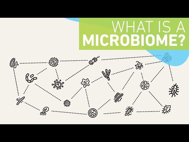 What is a microbiome?