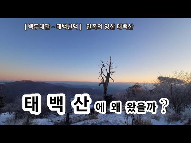 20241219 민족의 영산 태백산 / 유일사코스 /장군봉 / 천제단 / 백두대간 태백산맥