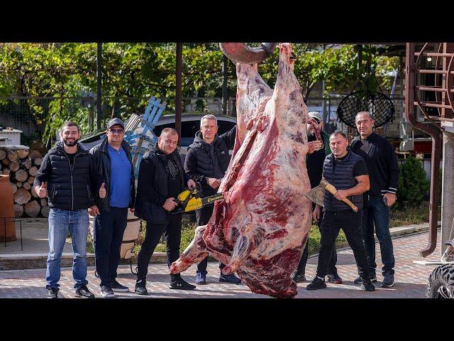 BUFFALO MEAT on CHARCOAL GRILL. COOKING 500 kilo BUFFALO