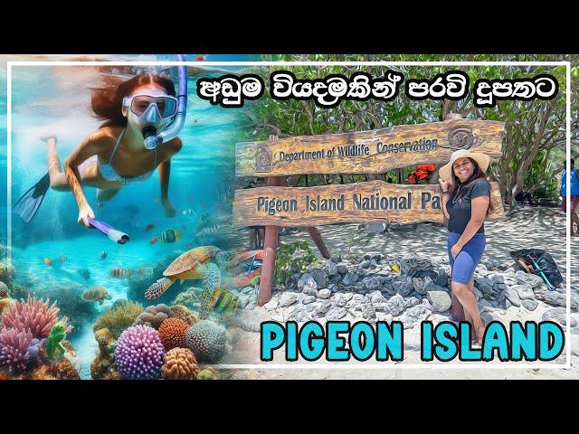 Pigeon Island snorkeling sri lanka | පරවි දූපත | trincomalee | nilaveli beach #snorkeling #travel