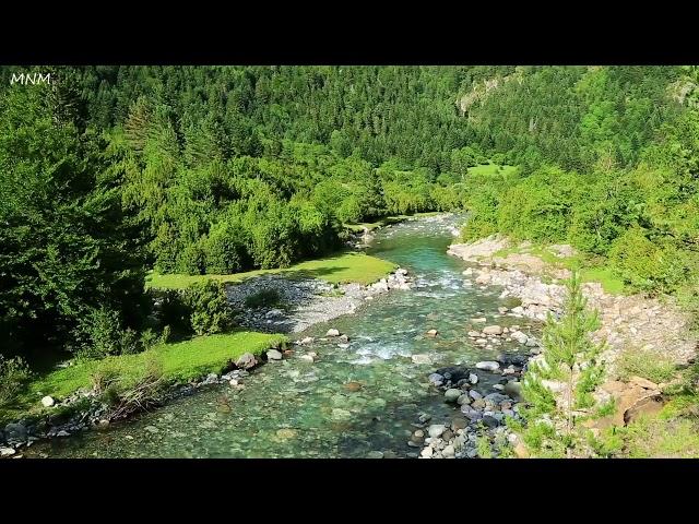 Beautiful birds chirping in the mountain forest, relaxing river flowing sound, ASMR