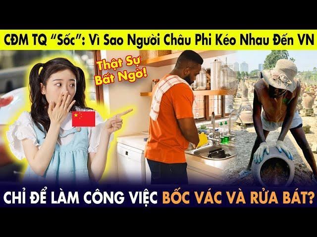 CĐM Trung Quốc “sốc”: Vì sao hàng nghìn người Châu Phi kéo nhau đến VN làm bốc vác, rửa bát?