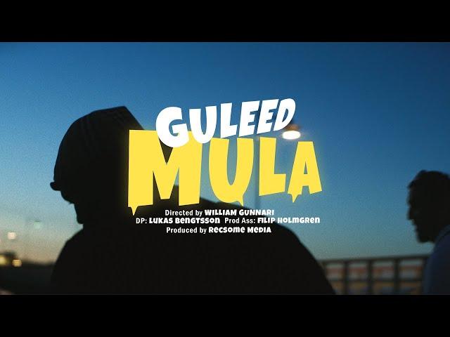 GULEED - Mula