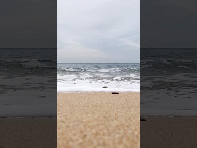 (24.01.18) #대천해수욕장 #겨울바다