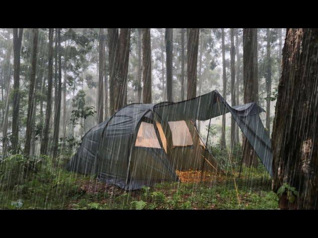 4 Days Camping in Heavy Rain || Not Solo Camping in Heavy Rain with Thunderstorm