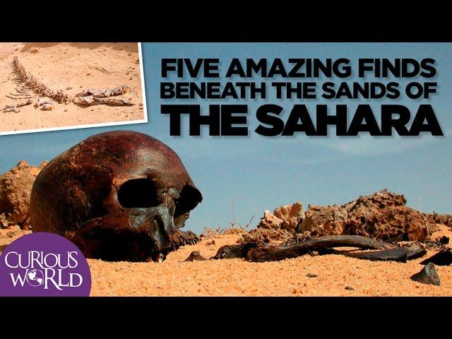 5 Amazing Finds Beneath the Sands of the Sahara