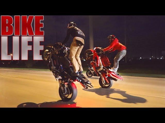 STUNT RIDE | Cops N' Crashes