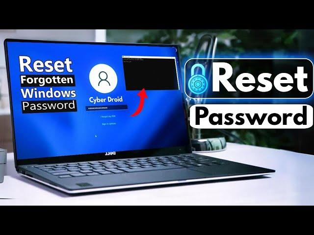 How to Reset Windows 11 Password | Microsoft Account Or Local (Without Data Loss) 2024