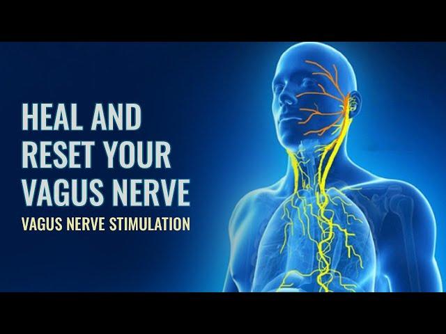 Vagus Nerve  Reset To Release Trauma Stored In The Body | Parasympathetic Nervous system Stimulation