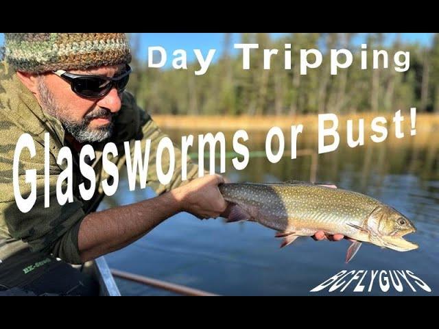 Stillwater Fly Fishing:  Glassworms or Bust - BCFLYGUYS Day Tripping S01E09