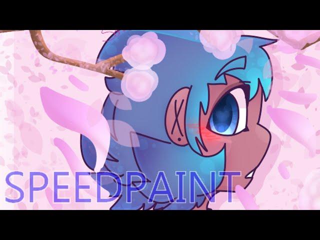 Cherry Blossom Feelings Speedpaint | Sugar Sharkie | Sorbet Shark Cookie