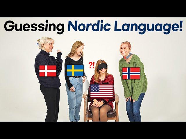 Can American identify NORDIC languages? (Danish, Swedish, Norwegian) ㅣ GUESS THE NATIONALITY