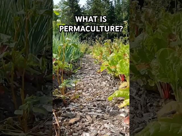 What is Permaculture?