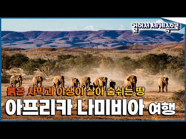 붉은 사막과 야생이 살아 숨쉬는 아프리카, 눈이 즐거운 '나미비아 여행2⃣' Trip to Namibia (KBS_20170304)