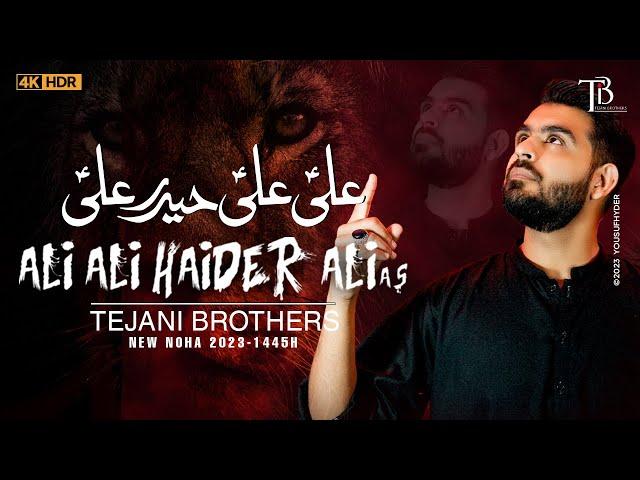 Mola Ali Noha | ALI ALI HAIDER ALI | Tejani Brothers | New Nohay 2023 | Muharram 1445