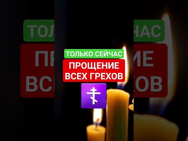 ПРОЩЕНИЕ ГРЕХОВ ВАШИХ  #грехи #прощение #церковные #аминь