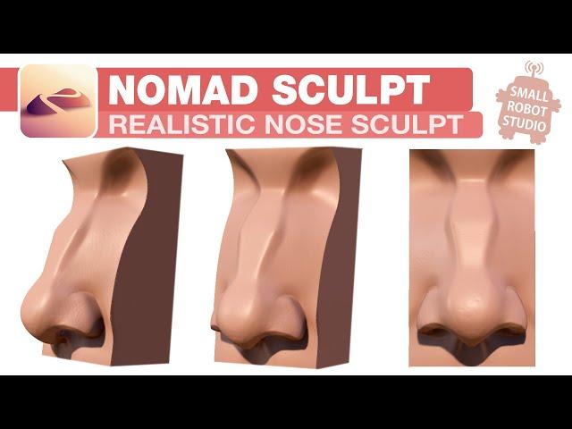 Nomad Sculpt: Realistic Nose Step by Step