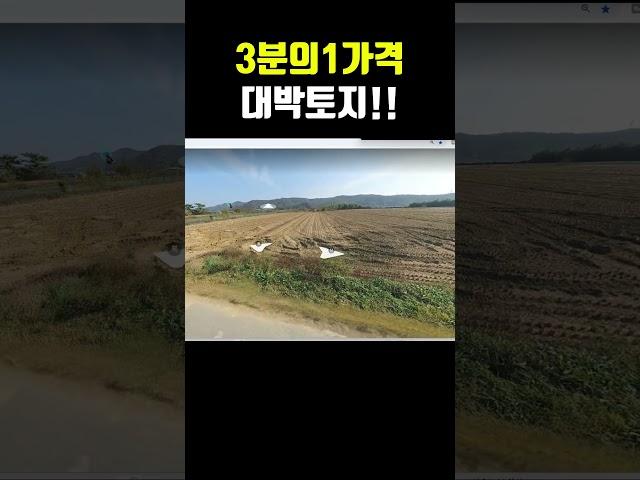 이 토지는 그냥 묻어 두세요!  포항부동산 포항토지 포항경매 신광면 사정리 토지경매  #착한부동산