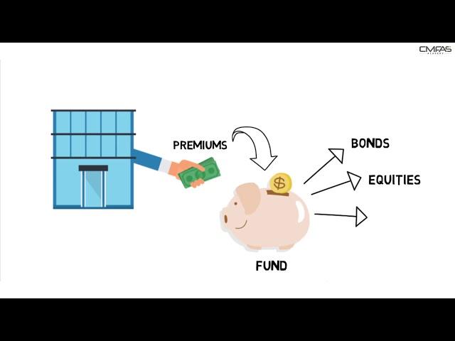 Participating vs Non-Participating Policies by CMFAS Academy (CMFAS.com.sg)