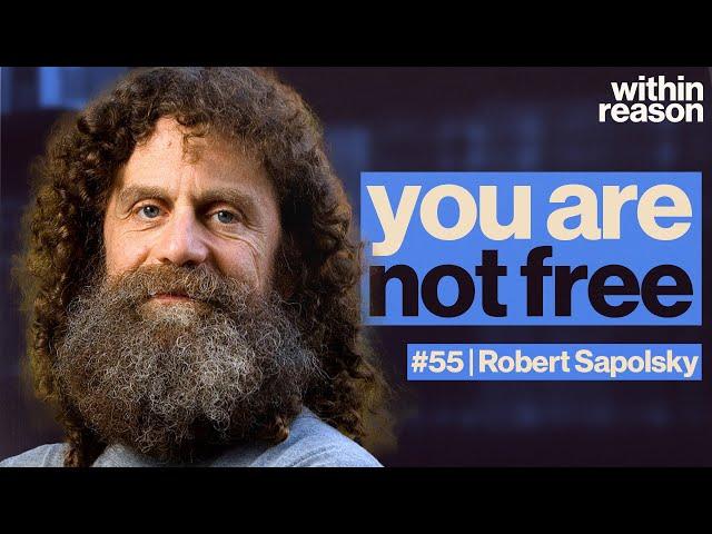 There's No Free Will. What Now? - Robert Sapolsky