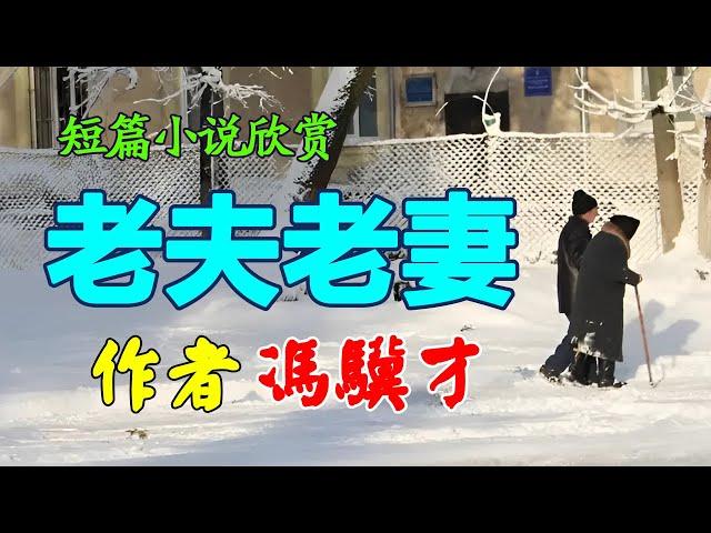  短篇小说欣赏：《老夫老妻》作者：冯骥才 #小说 #听书频道