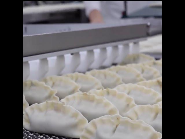 Mass production, 29 tons/day, Process of making meat dumplings, Korean food factory