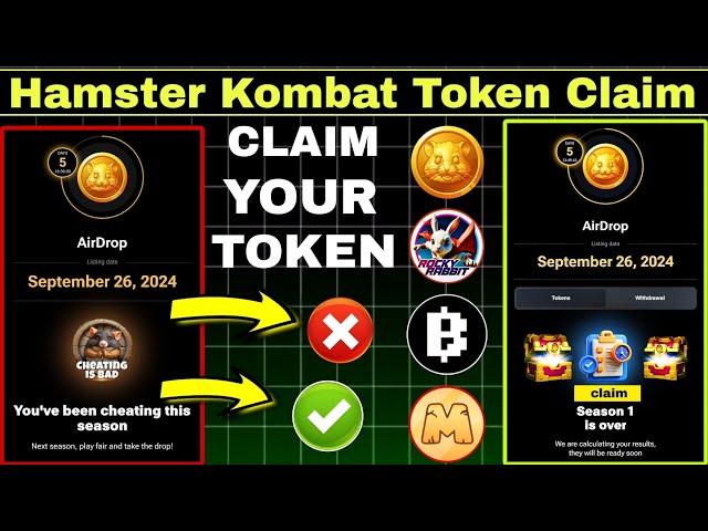 Hamster Kombat | Cheating is bad | Airdrop milega ya nhi | Rocky Rabit | last date | #hamsterkombat