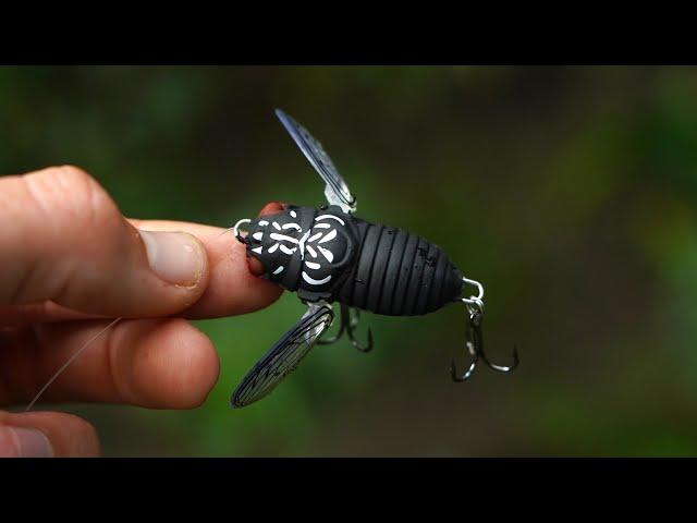 Aussie Natives SMASH This Realistic Lure!