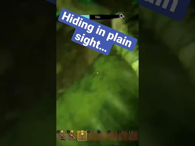 Hiding in plain sight