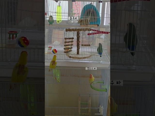 과연 승자는???