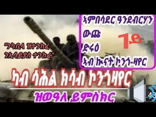 Eritrea,ዝርዝራዊ ሰነድ ህግደፍ ክሳብ ምስታፍ ኲናት ደቡብሱዳን፡ኮንጎ  ዛየር,ባድመ-መረብሰቲትPart1#eritreanmusic #tefetawitalkshow