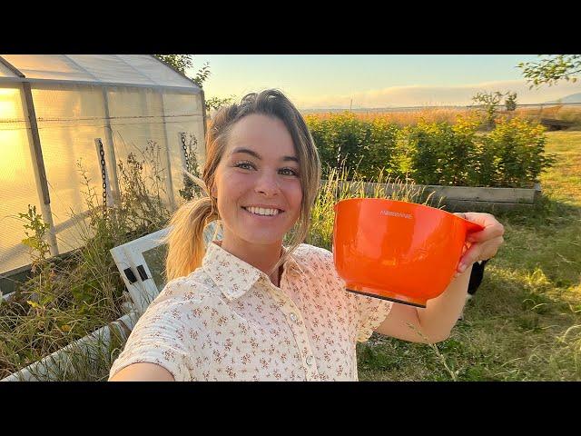 Nights On The Homestead | Homesteading Vlog