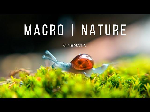 Macro in NATURE Cinematic video