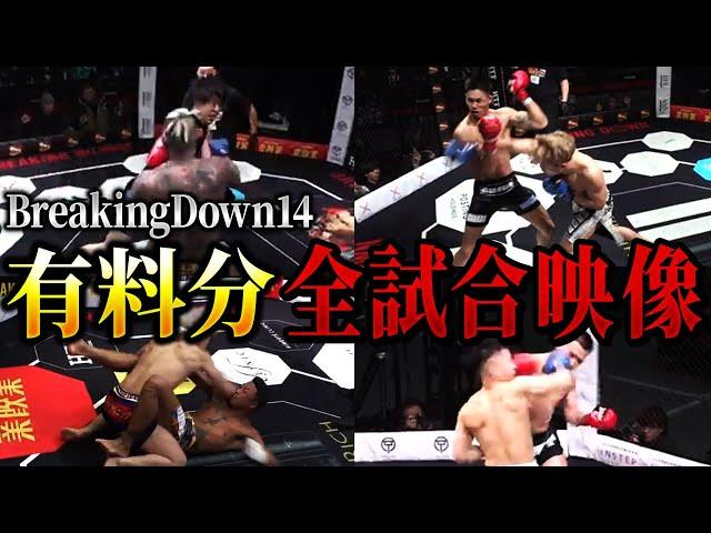 【有料分含む】ブレイキングダウン14の全試合映像を集めてみた【朝倉未来/朝倉海/切り抜き】