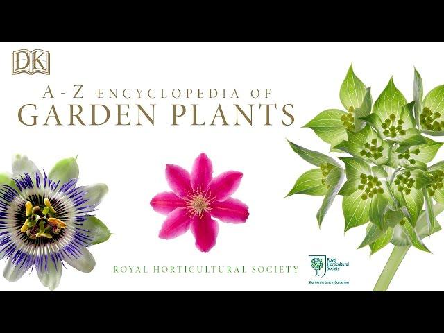 RHS A-Z Encyclopedia of Garden Plants