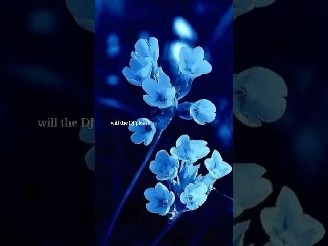 |Shake it to the max (FLY) | aesthetic edit | trending | lyrics |