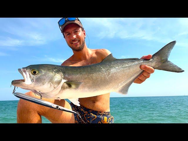 BIG Bluefish on Topwater! Shore fishing in Italy