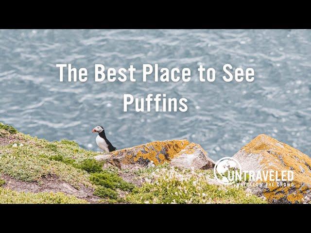 THE BEST PLACE TO SEE PUFFINS | Just 2 Hours from Dublin, Ireland