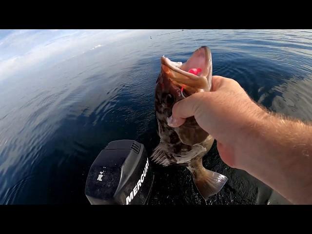 Using StrikeLines chart to catch Grouper in Tampa Bay