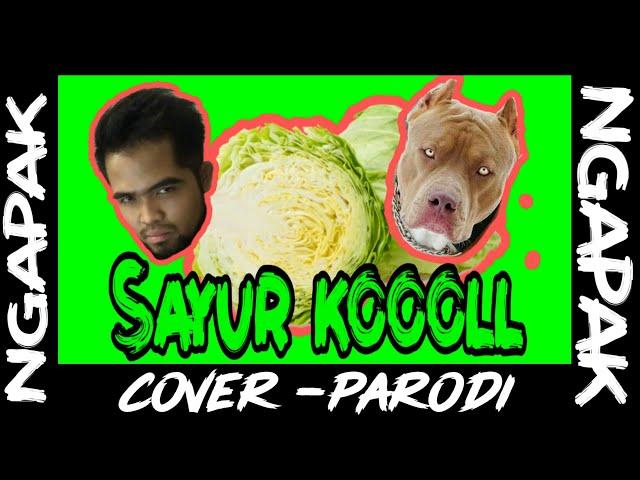 #CoverParodiSAYUR KOOL - NGAPAK VERSION :v !! PARODI