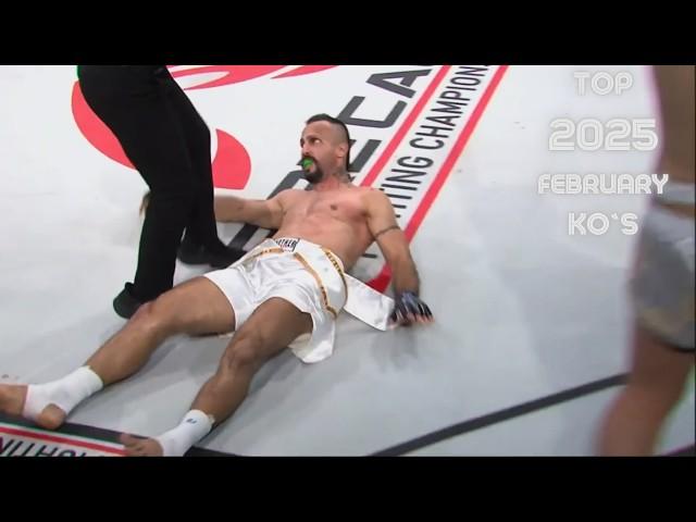 MMA & Boxing Knockouts I February 2025 Week 4