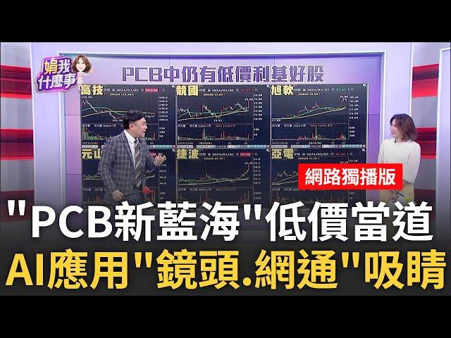 AI輪漲下一波換誰?! 低價股王道? 高價股大戶青睞? PCB銅板股掀比價效應 亞電.嘉聯益.律勝誰低估?│陳斐娟 主持│20240305｜關我什麼事 feat.封開平.紀緯明