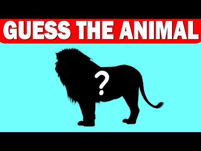 Guess The Animal by Shadow | Guess The Animal Quiz | 30 Animals