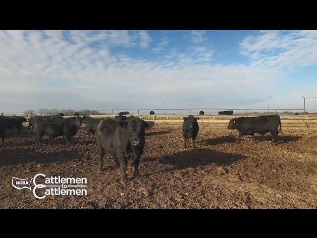 NCBA's Cattlemen to Cattlemen – September 3, 2019